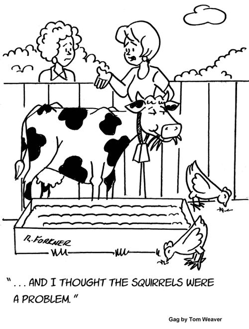 "...and I thought the squirrels were the problem."