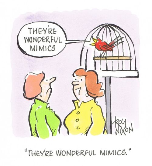 "They're wonderful mimics."
