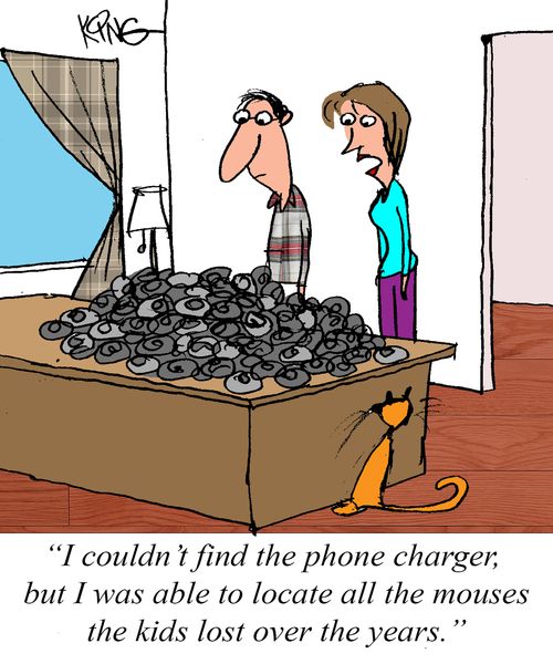 "I couldn't find the phone charger, but I was able to locate all the mouses the kids lost over the years."