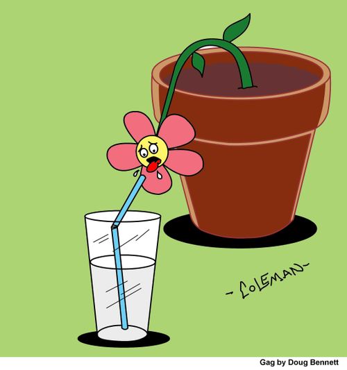 A Thirsty Flower