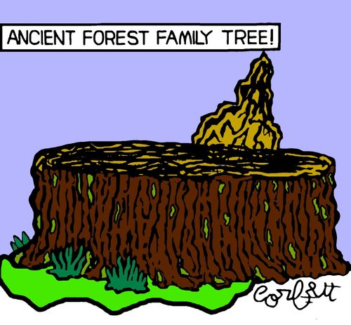 Ancient Forest Family Tree