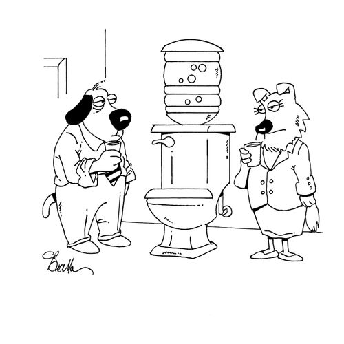 Toilet water cooler