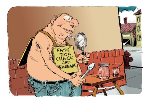 Free Tick Check and Lemonade