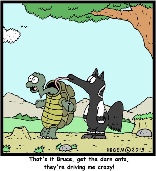 "That's it Bruce, get the darn ants, they're driving me crazy!"