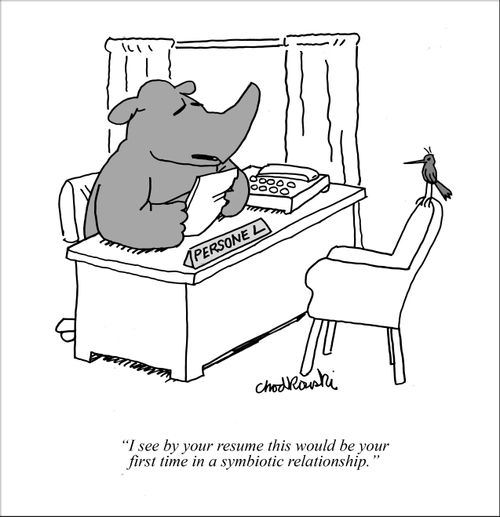 "I see by your resume this would be your first time in a symbiotic relationship." 