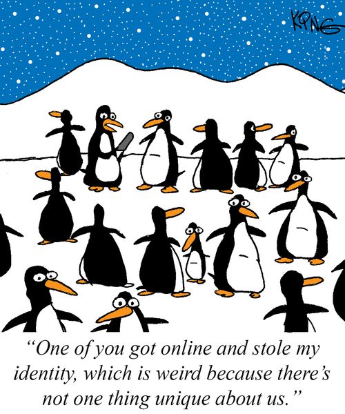 "One of you got online and stole my identity, which is weird because there's not one thing unique about us."