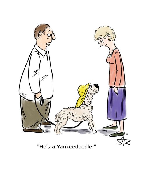 "He's a Yankeedoodle."