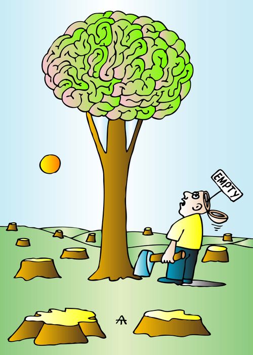 The Brainlessness of Deforestation