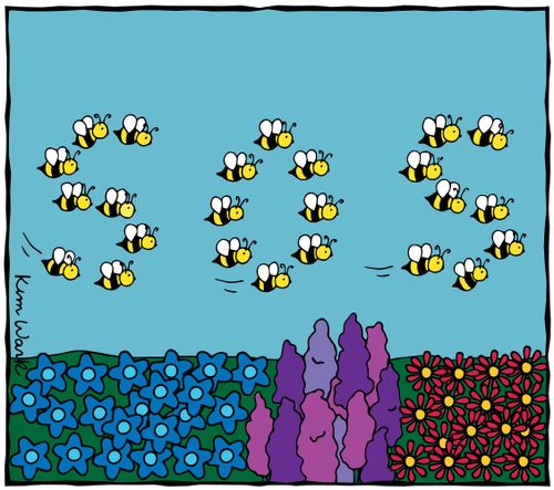 Bees SOS