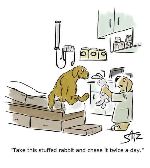 "Take this stuffed rabbit and chase it twice a day."