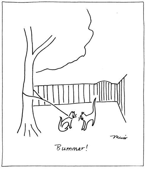 "Bummer!"