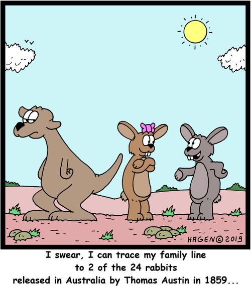 "I swear, I can trace my family line to 2 of the 24 rabbits released in Australia by Thomas Austin in 1859..."