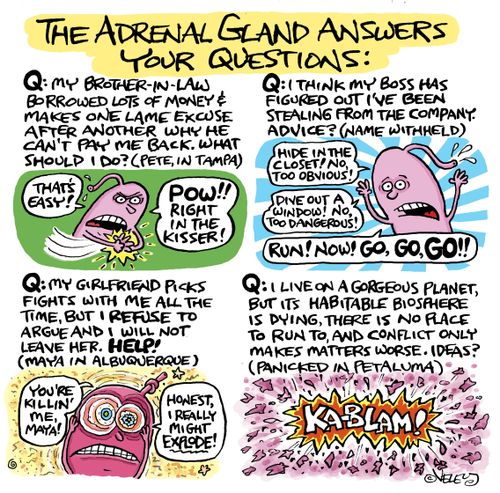 The Adrenal Gland Answers Your Questions