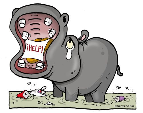 Plastic Pollution in the Ecosystem