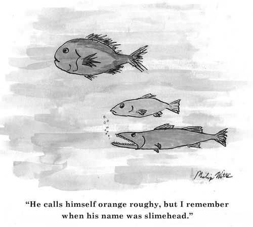 "He calls himself orange roughy, but I remember when his name was slimehead."