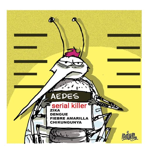 AEDES: Serial Killer - Zika, Dengue, Fiebre Amarilla, Chikungunya.