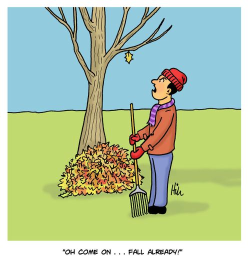 "Oh come on. . . fall already!"