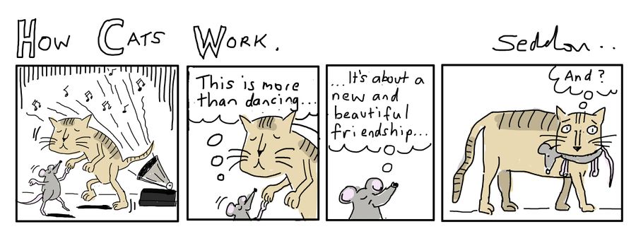 How Cats Work
