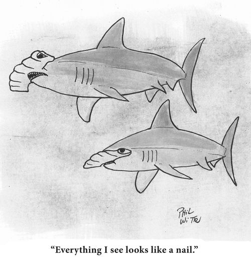 "Everything I see looks like a nail."