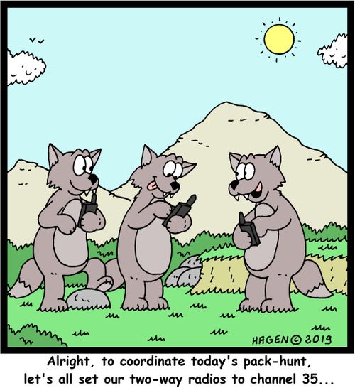 "Alright, to coordinate today's pack-hunt, let's all set our two-way radios to channel 35..."