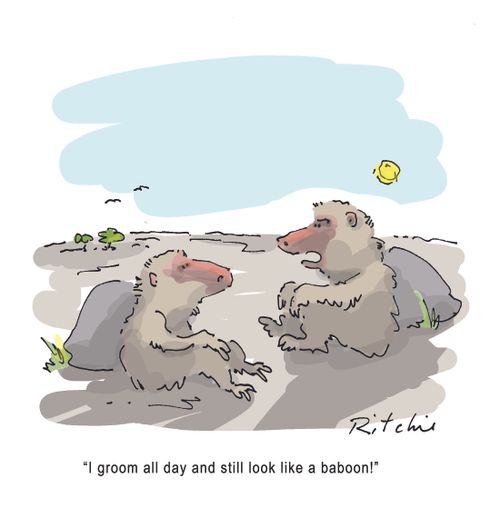 "I groom all day and still look like a baboon."