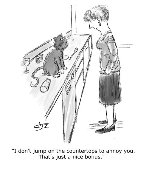 "I don't jump on the countertops to annoy you. That's just a nice bonus."