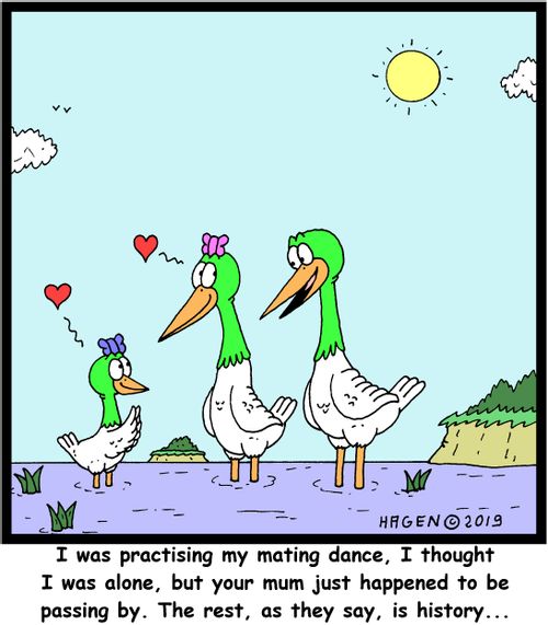 "I was practising my mating dance, I thought I was alone, but your mum just happened to be passing by. The rest, as they say, is history..."