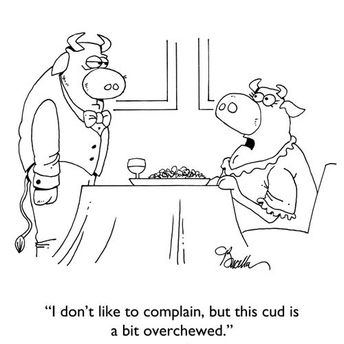 "I don't like to complain, but this cud is a bit overchewed."
