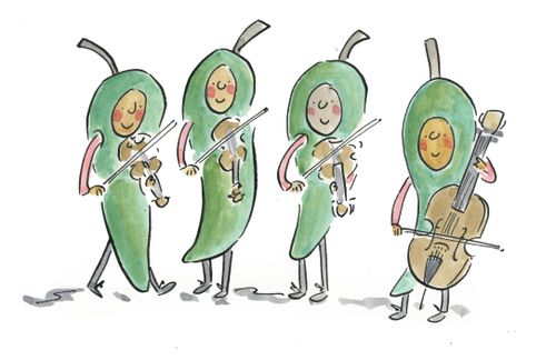Chilli Quartet