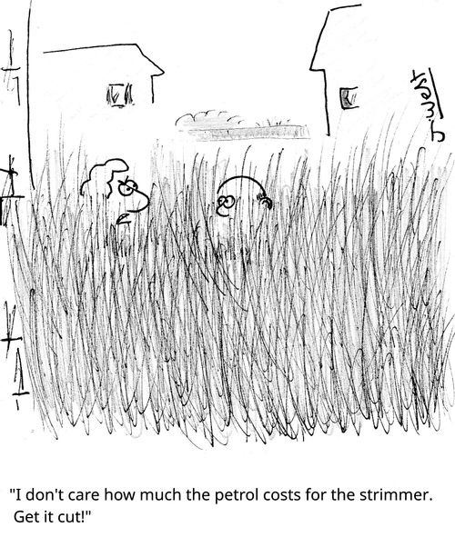 "I don't care how much the petrol costs for the strimmer. Get it cut!"