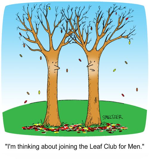 "I'm thinking about joining the Leaf Club for Men."