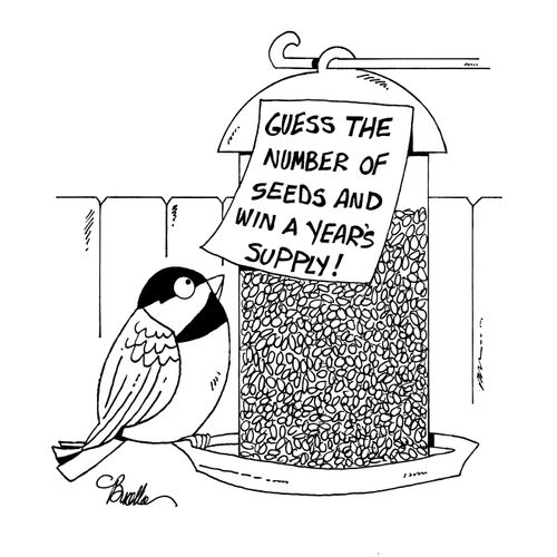 Guess the Number Of Seeds And Win A Year's Supply
