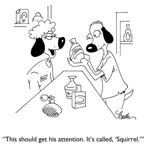 "This should get his attention. It's called, 'Squirrel.'"