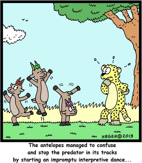 "The antelopes managed to confuse and stop the predator in its tracks by starting an impromptu interpretive dance..."