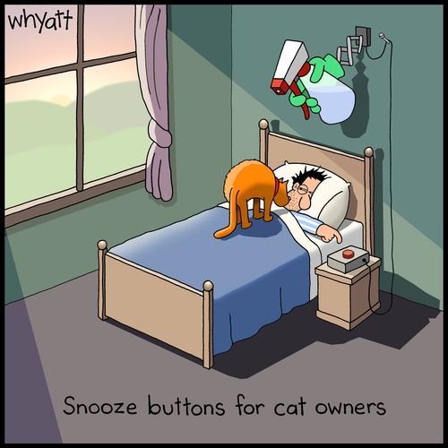 Snooze buttons for cat owners