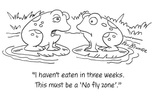 "I haven't eaten in three weeks. This must be a 'No fly zone'."