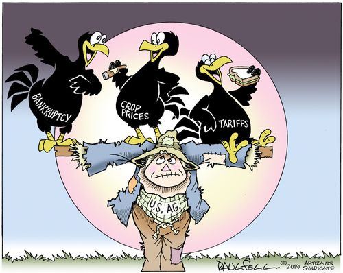 Pesky Crows