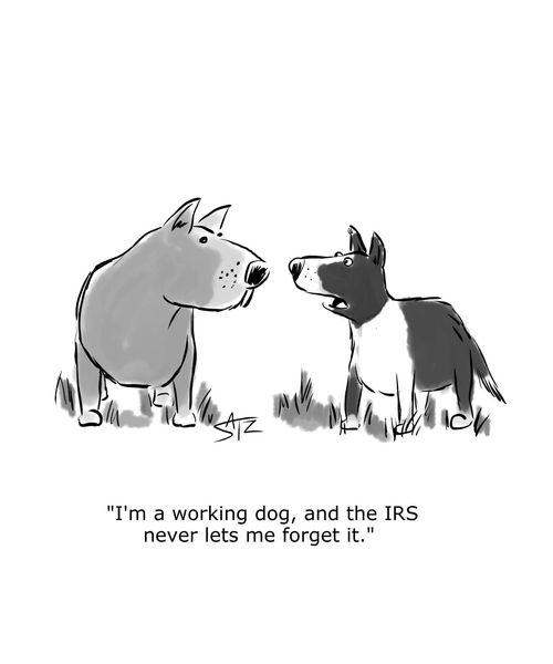 "I'm a working dog, and the IRS never lets me forget it."