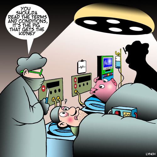 "You shoulda read the terms and conditions, it's the pig that gets the kidney."