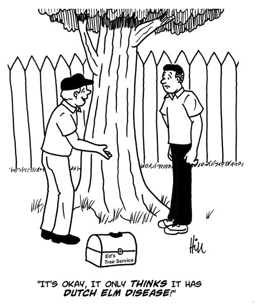 "It's okay, it only thinks it has Dutch Elm Disease!"