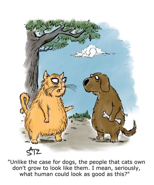 "Unlike the case for dogs, the people that cats own don't grow to look like them. I mean, seriously, what human could look as good as this?"