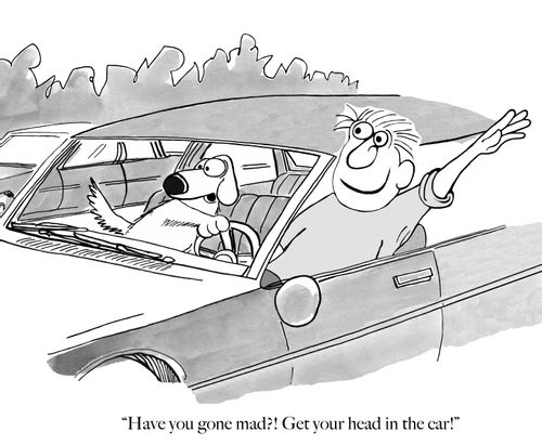 "Have you gone mad?! Get your head in the car!"