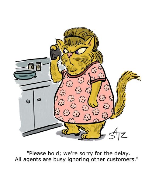 "Please hold; we're sorry for the delay. All agents are busy ignoring other customers."