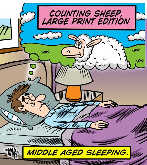 Counting sheep, large print edition. 