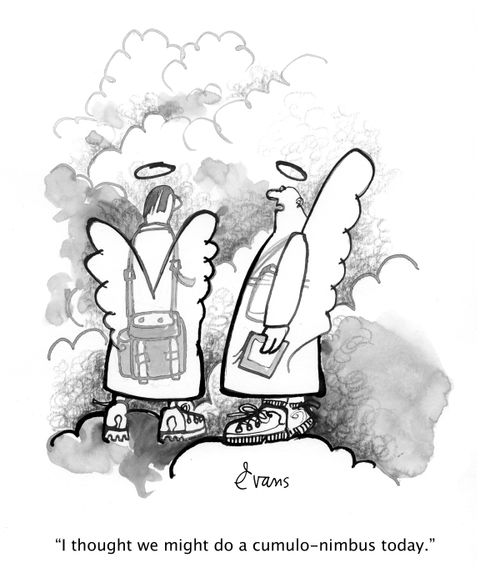 "I thought we might do a cumulo-nimbus today."