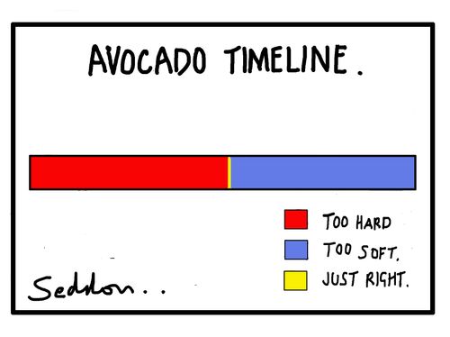 Avocado Timeline