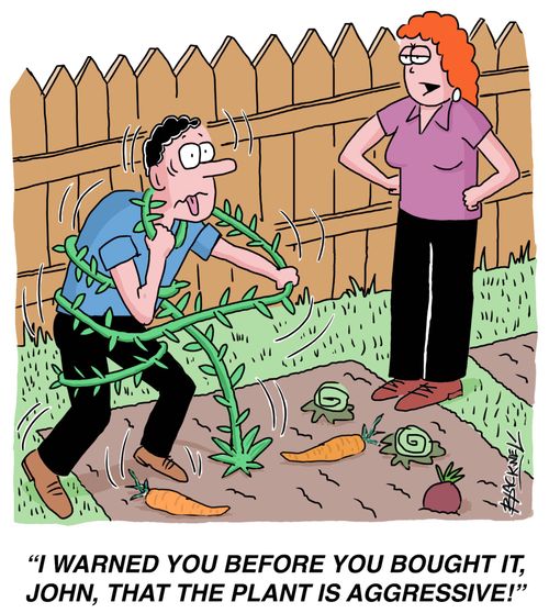 "I warned you before you bought it, John, that the plant is aggressive!"