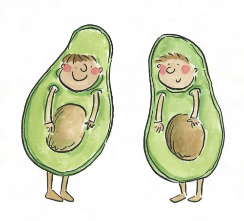 Avacados