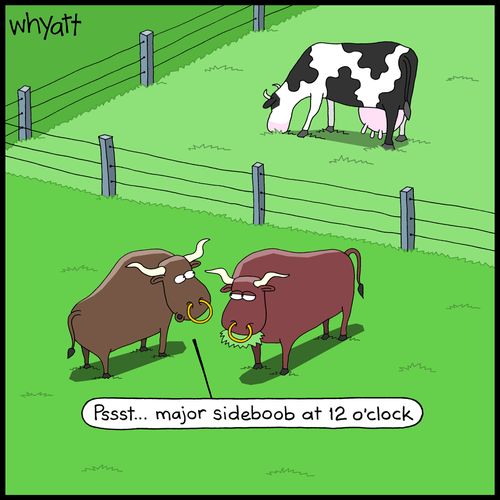 "Pssst. . . Major sideboob at 12 o'clock."