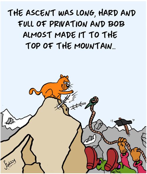 The ascent was long, hard and full of privation and Bob almost made it to the top of the mountain...